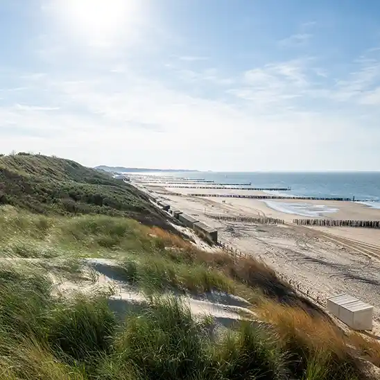 Vakantiehuis huren zoutelande vakantie met je hond 001