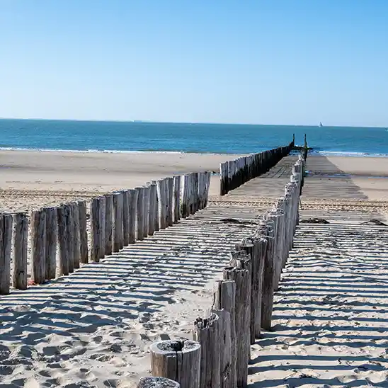 Vakantiehuis huren zoutelande vakantie met je hond 003